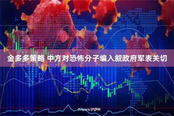 金多多策略 中方对恐怖分子编入叙政府军表关切