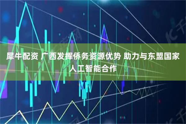 犀牛配资 广西发挥侨务资源优势 助力与东盟国家人工智能合作