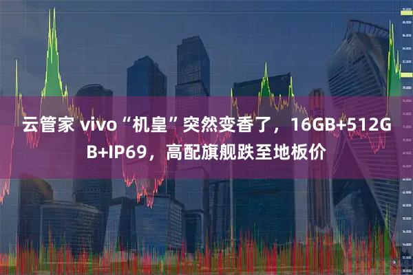 云管家 vivo“机皇”突然变香了，16GB+512GB+IP69，高配旗舰跌至地板价